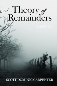 Theory of Remainders: A Novel